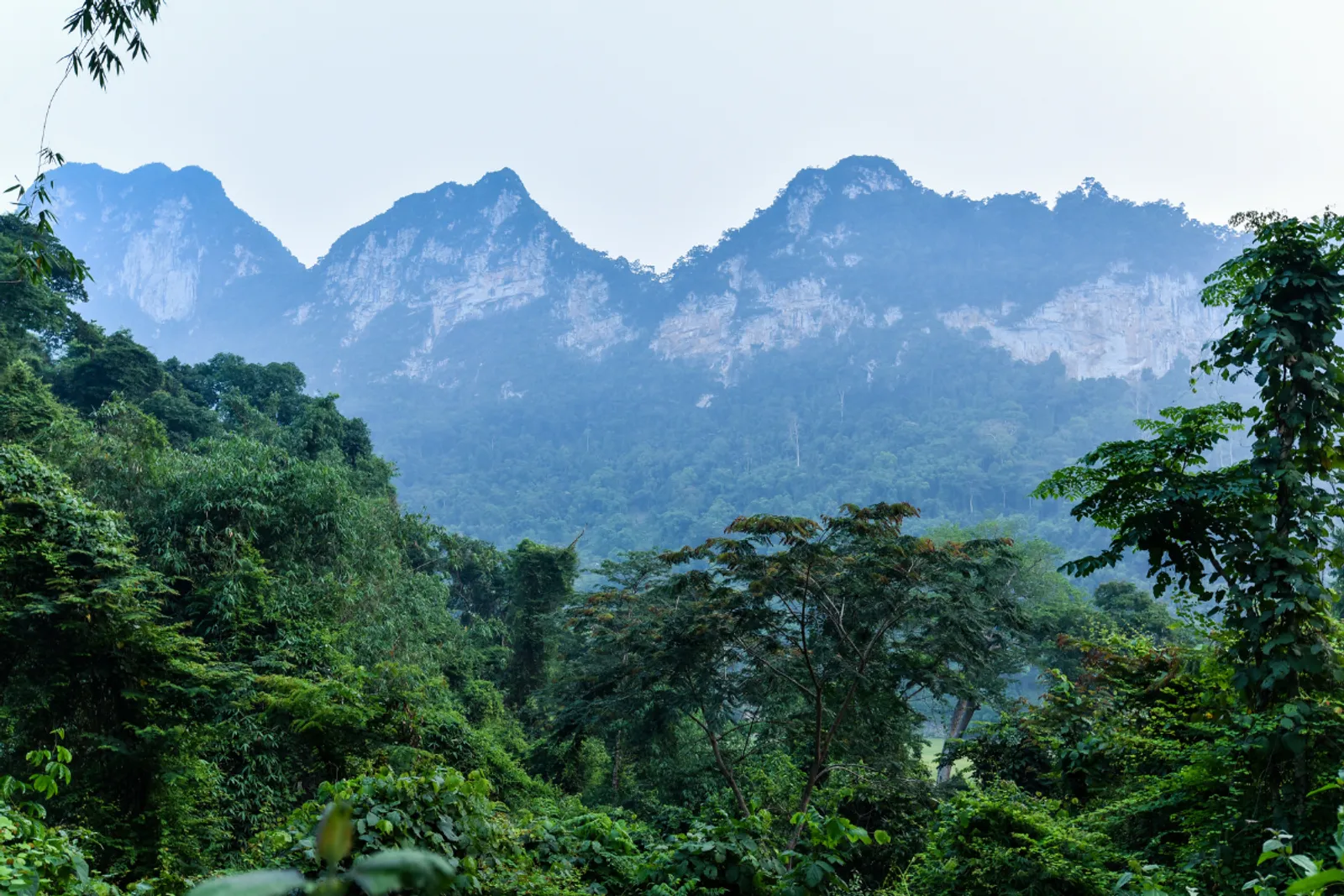 Northeast Vietnam 11-Day Private Tour: Ha Giang, Ba Be, Ban Gioc & Halong Bay – photo 7