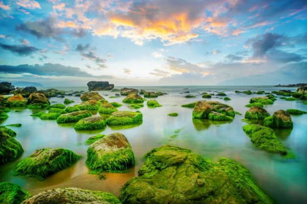 Da Nang Beach Tour of 2025: Latest Guide on how to enjoy Da Nang's marvelous beauty – photo 4