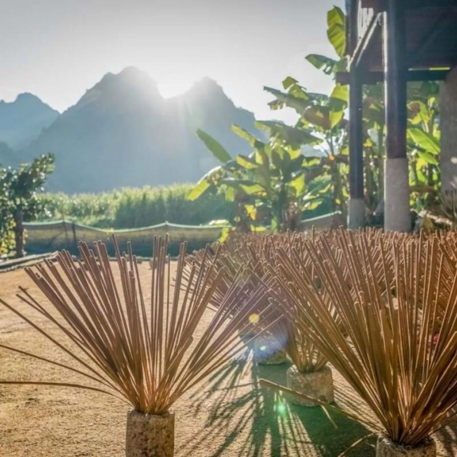 6 Day Ha Giang Yen Minh Meo Vac Cao Bang Ban Gioc Waterfall Tour – photo 36