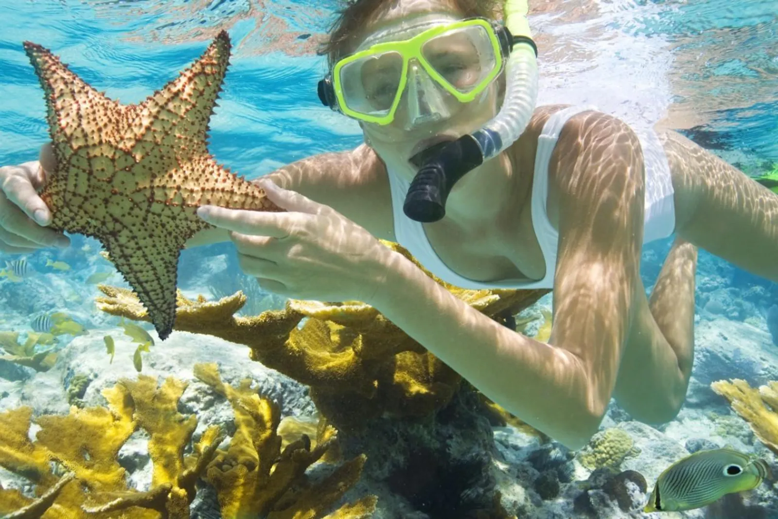 Discover Bay Canh Island & Tai Island, Con Dao Tour – photo 11
