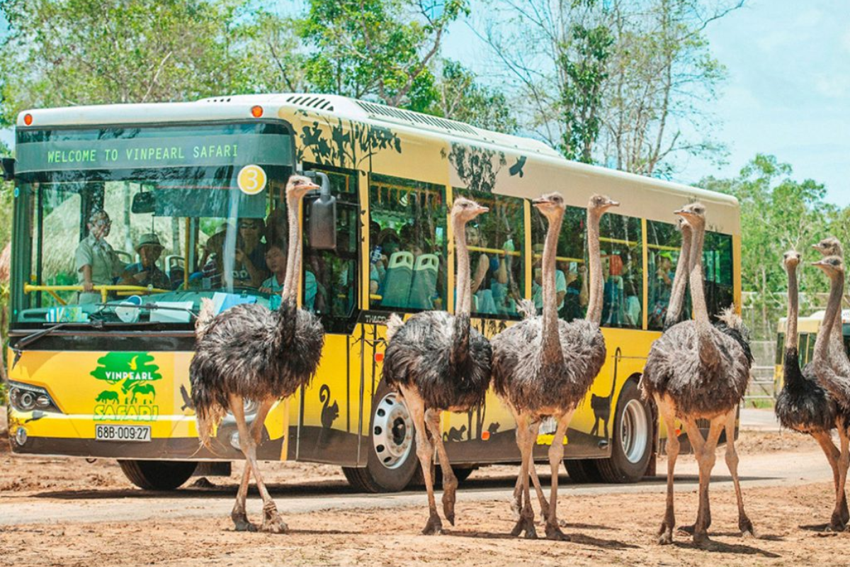 Wild animals at Vinpearl Safari Phu Quoc