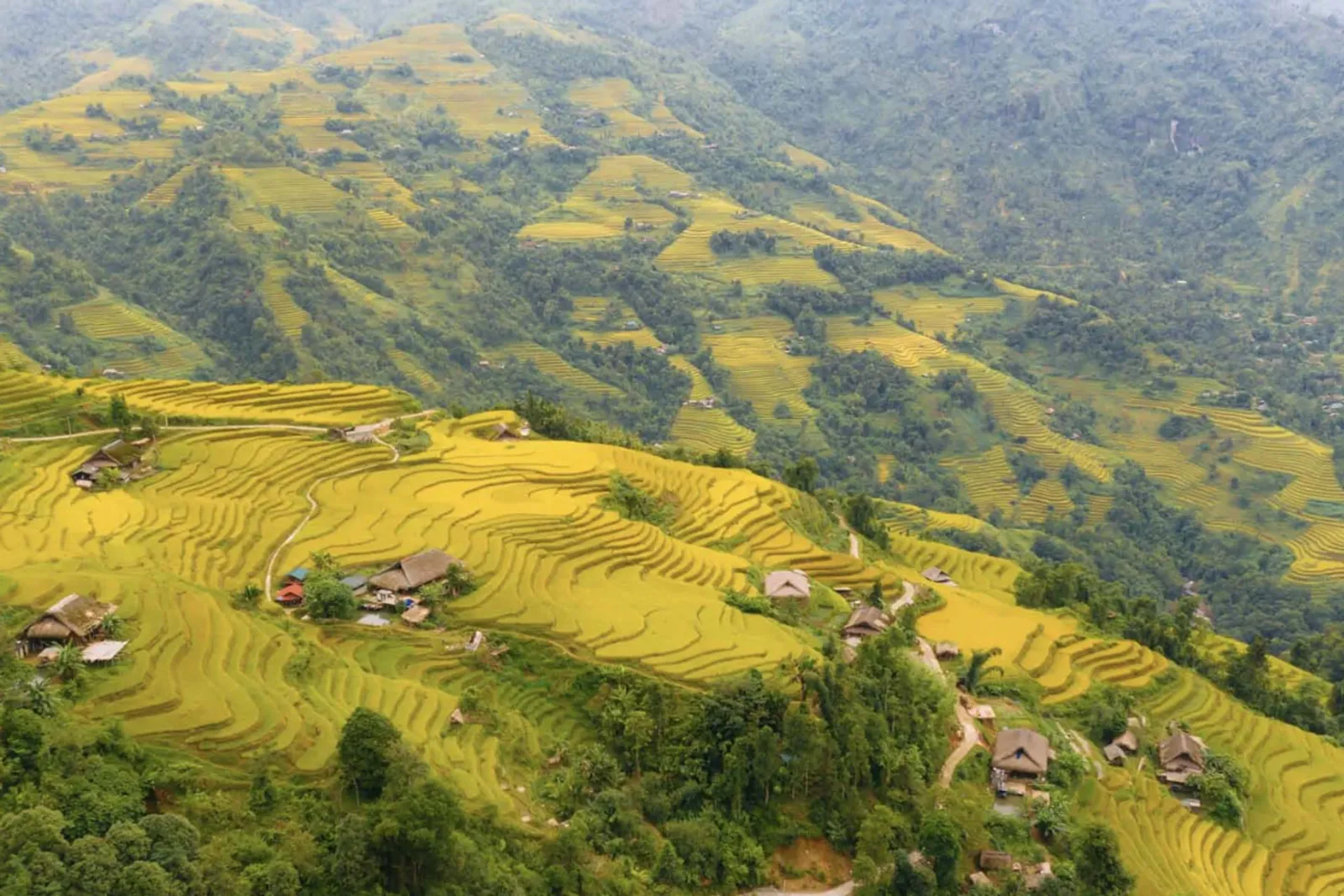 Journey Through Ha Giang Loop in August: A Scenic Adventure