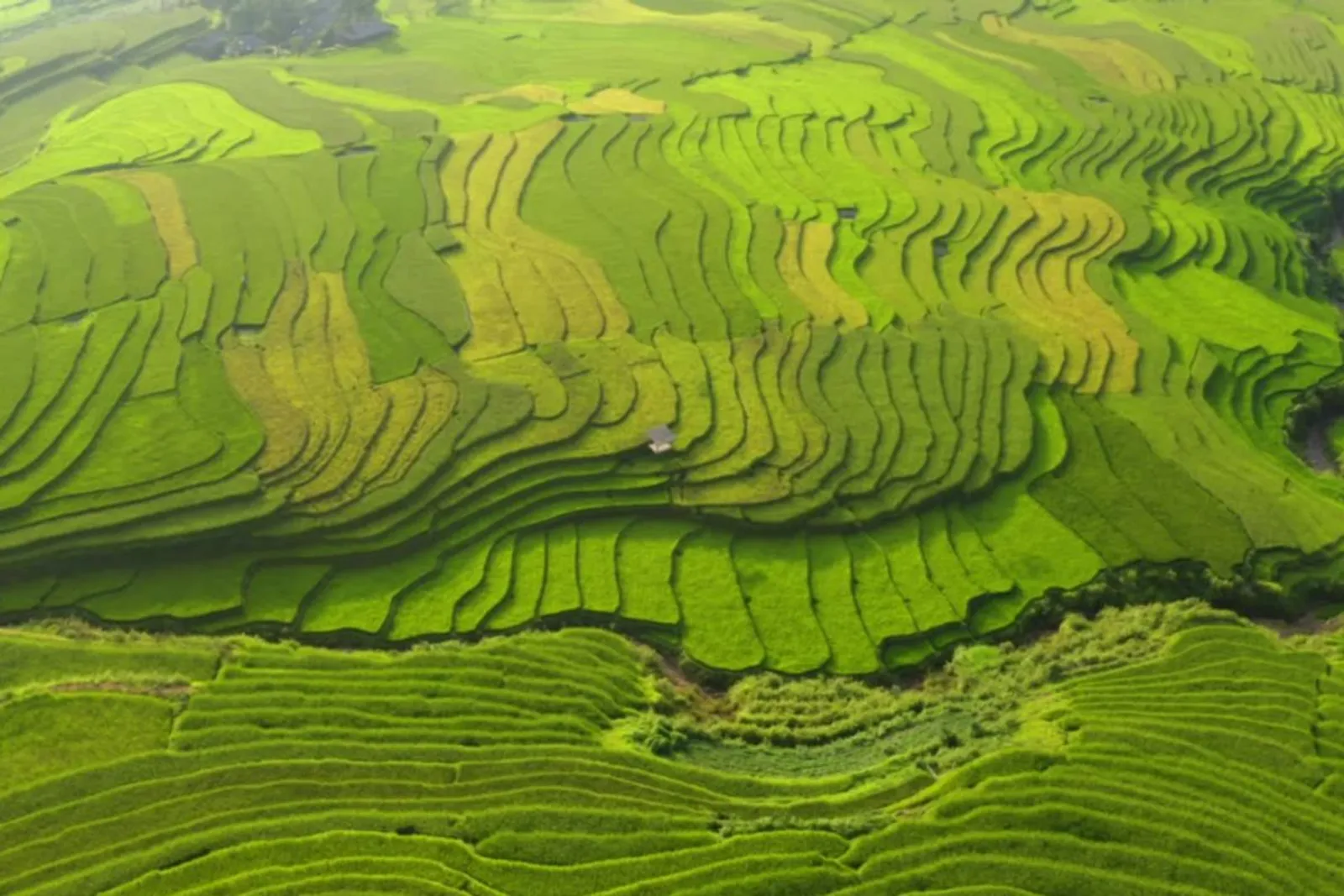 Mu Cang Chai & Sapa 7-Day Private Tour: Khau Pha Pass, Fansipan & Ta Van – photo 3