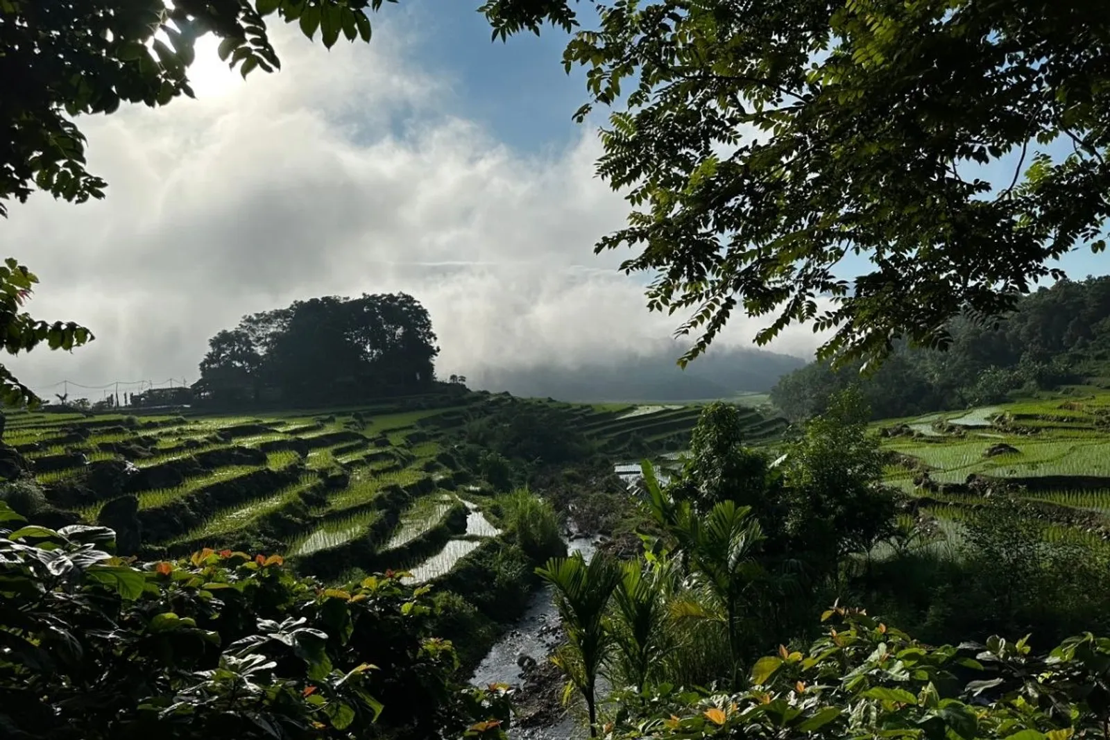 8D7N Mai Chau Valley Pu Luong Retreat Ninh Binh Halong Bay Tour – photo 18