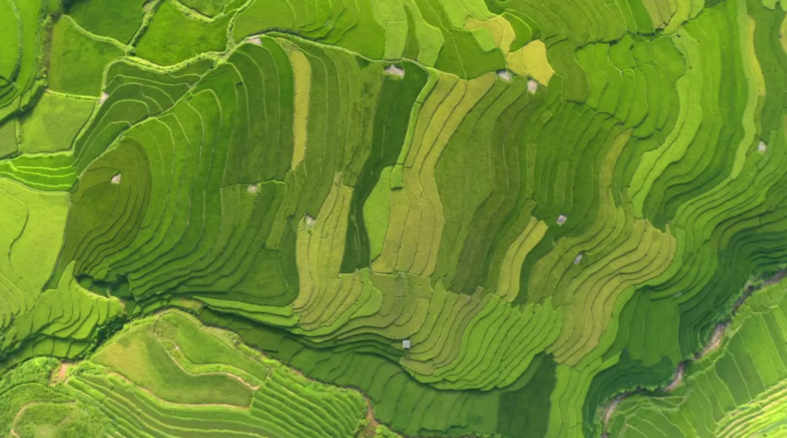 Mu Cang Chai Tour 3 Days – photo 43