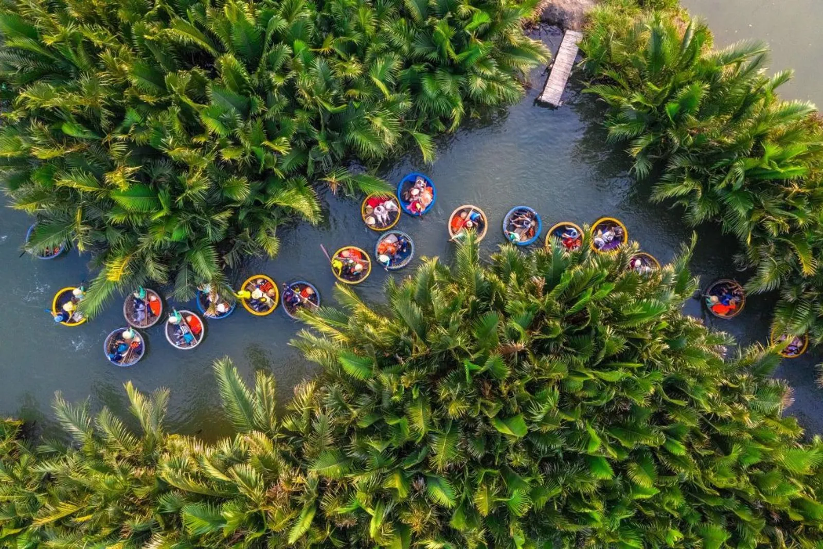 Coconut Forest Hoian Vietnam