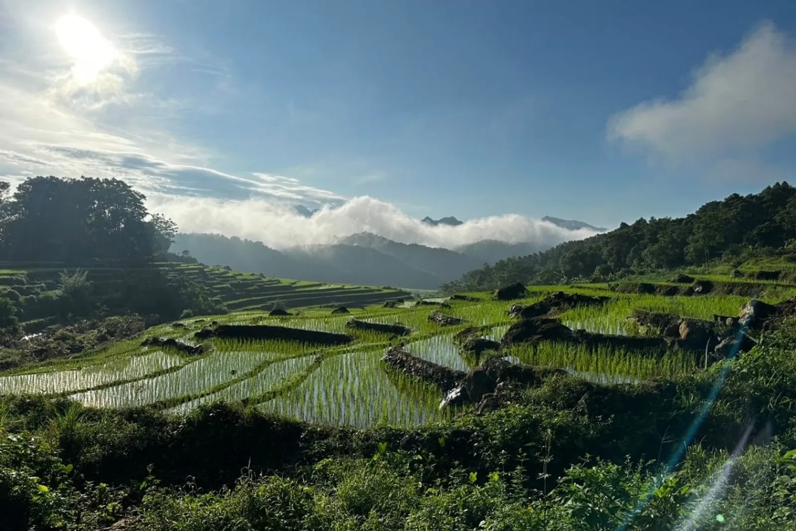 8D7N Mai Chau Valley Pu Luong Retreat Ninh Binh Halong Bay Tour – photo 17