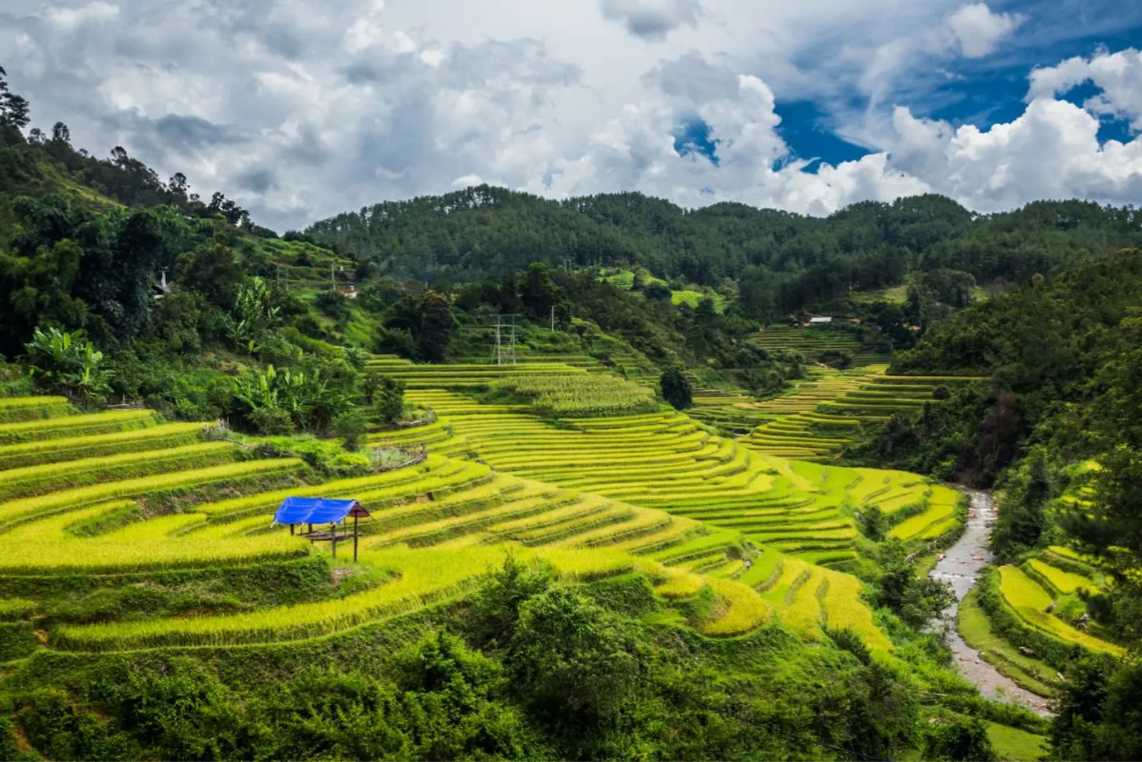 Mu Cang Chai & Sapa 7-Day Private Tour: Khau Pha Pass, Fansipan & Ta Van – photo 32