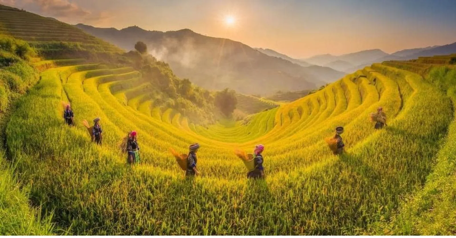 Mu Cang Chai & Sapa 7-Day Private Tour: Khau Pha Pass, Fansipan & Ta Van – photo 1