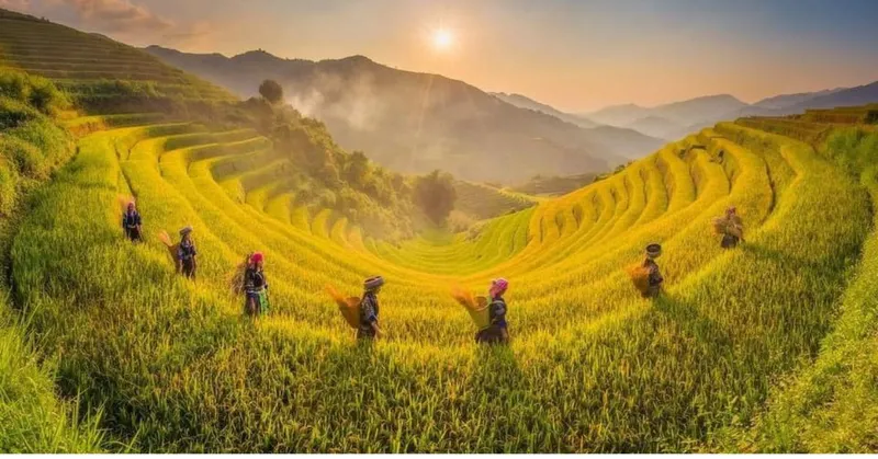 Mu Cang Chai & Sapa 7-Day Private Tour: Khau Pha Pass, Fansipan & Ta Van