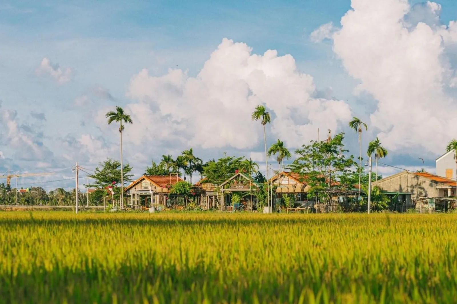 5D4N Exquisite Da Nang / Hue / Hoi An / Ba Na Hill Tour – photo 31