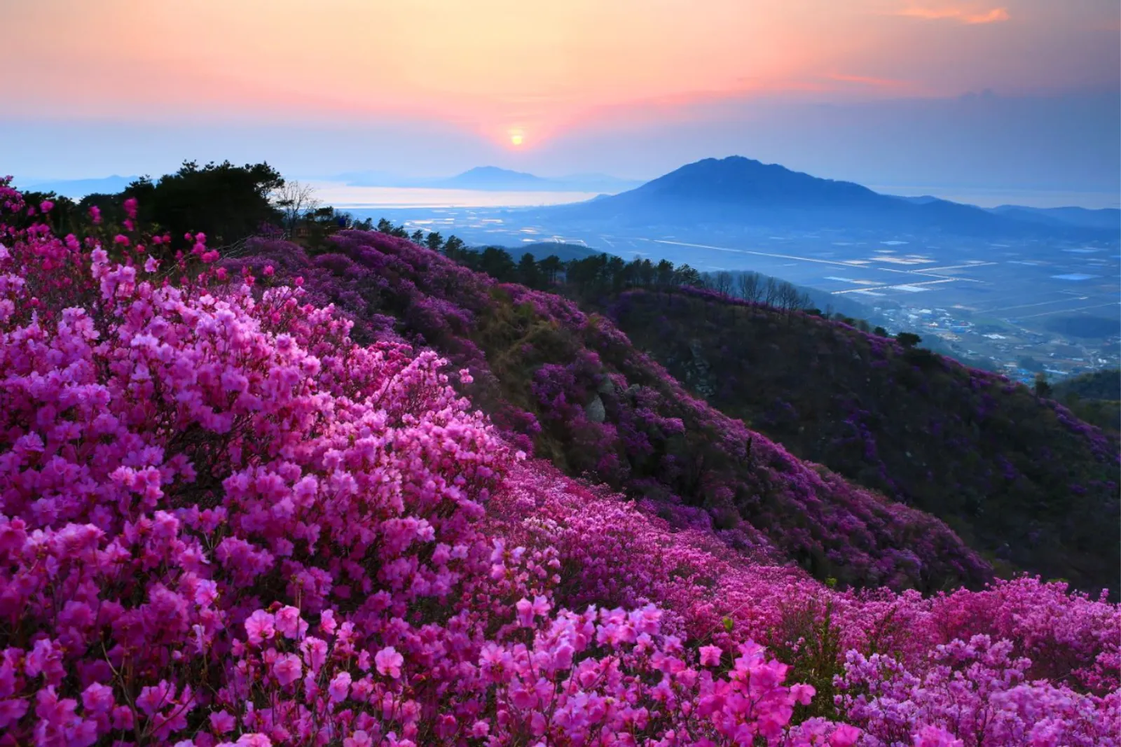 Experience the Beauty of Sapa Vietnam in April: A Complete Travel Guide