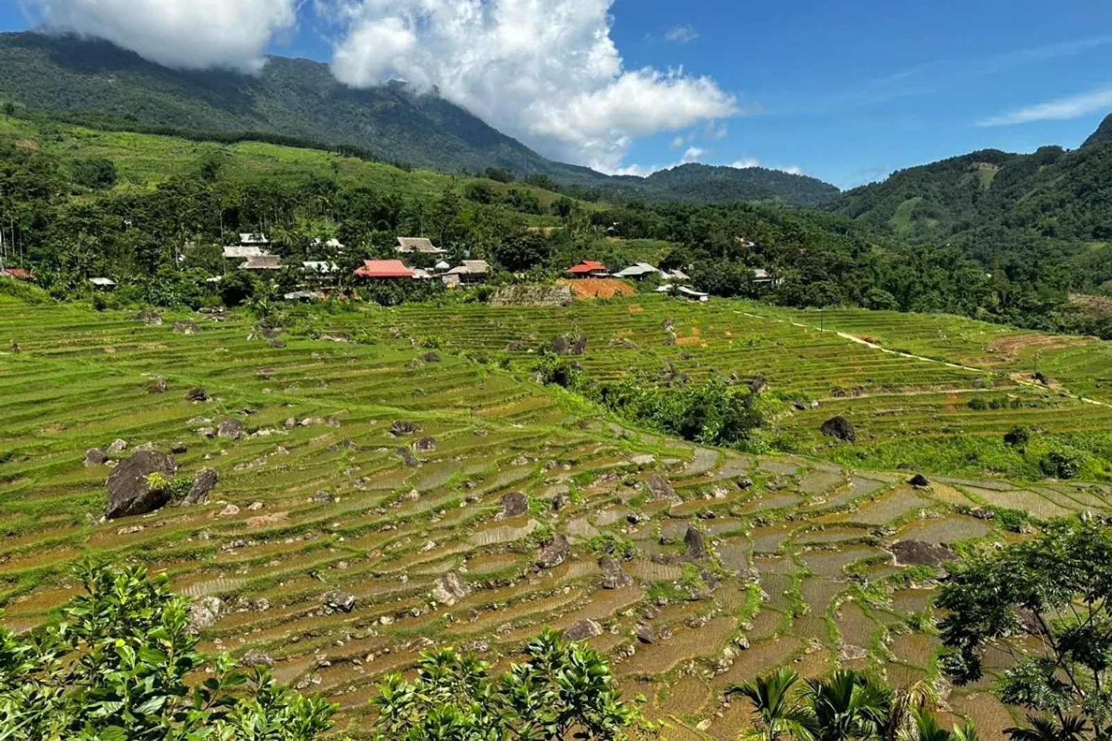 8D7N Mai Chau Valley Pu Luong Retreat Ninh Binh Halong Bay Tour – photo 4