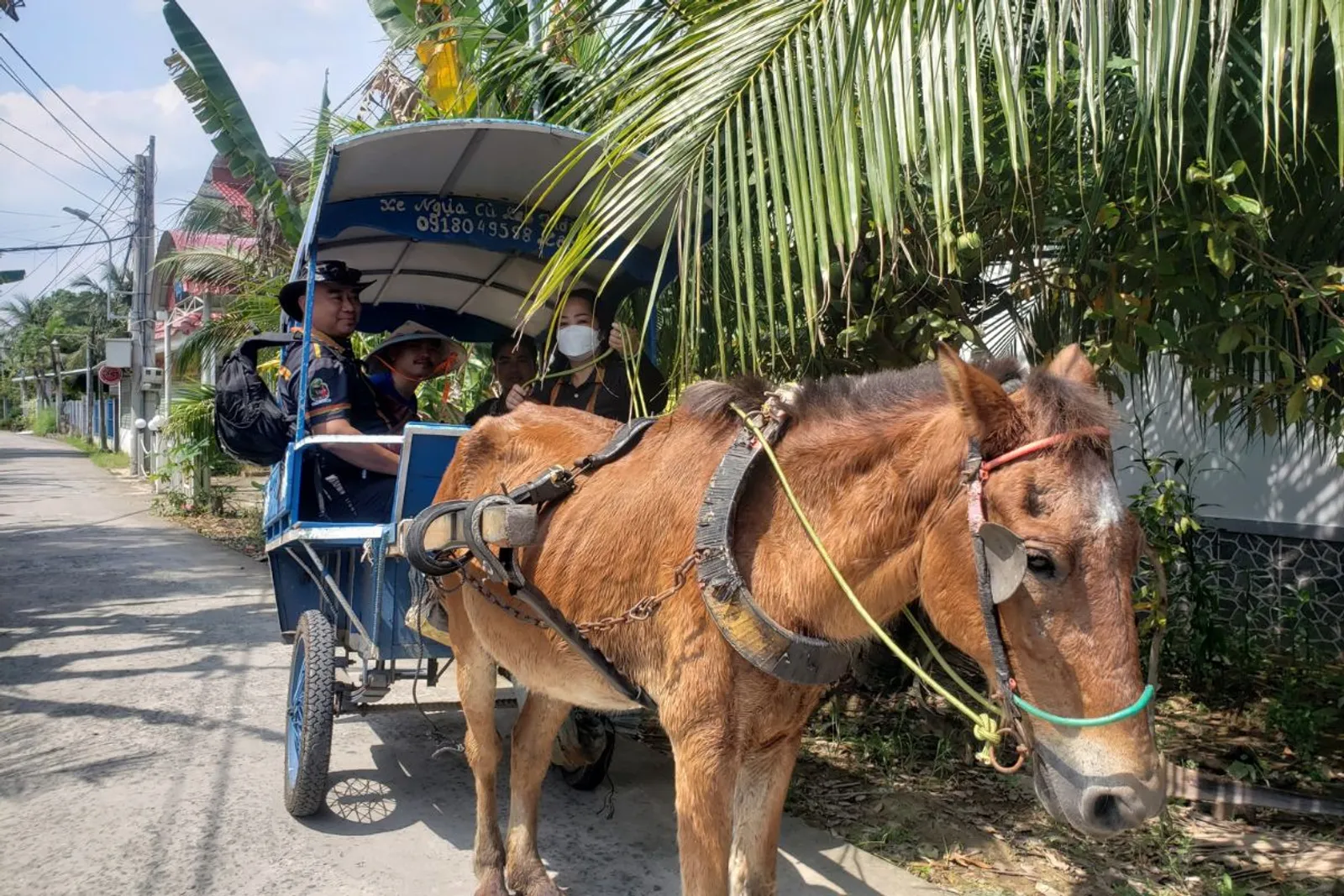 4D3N Ho Chi Minh City / Cu Chi / Tay Ninh / Black Virgin Mountain / My Tho Tour – photo 21