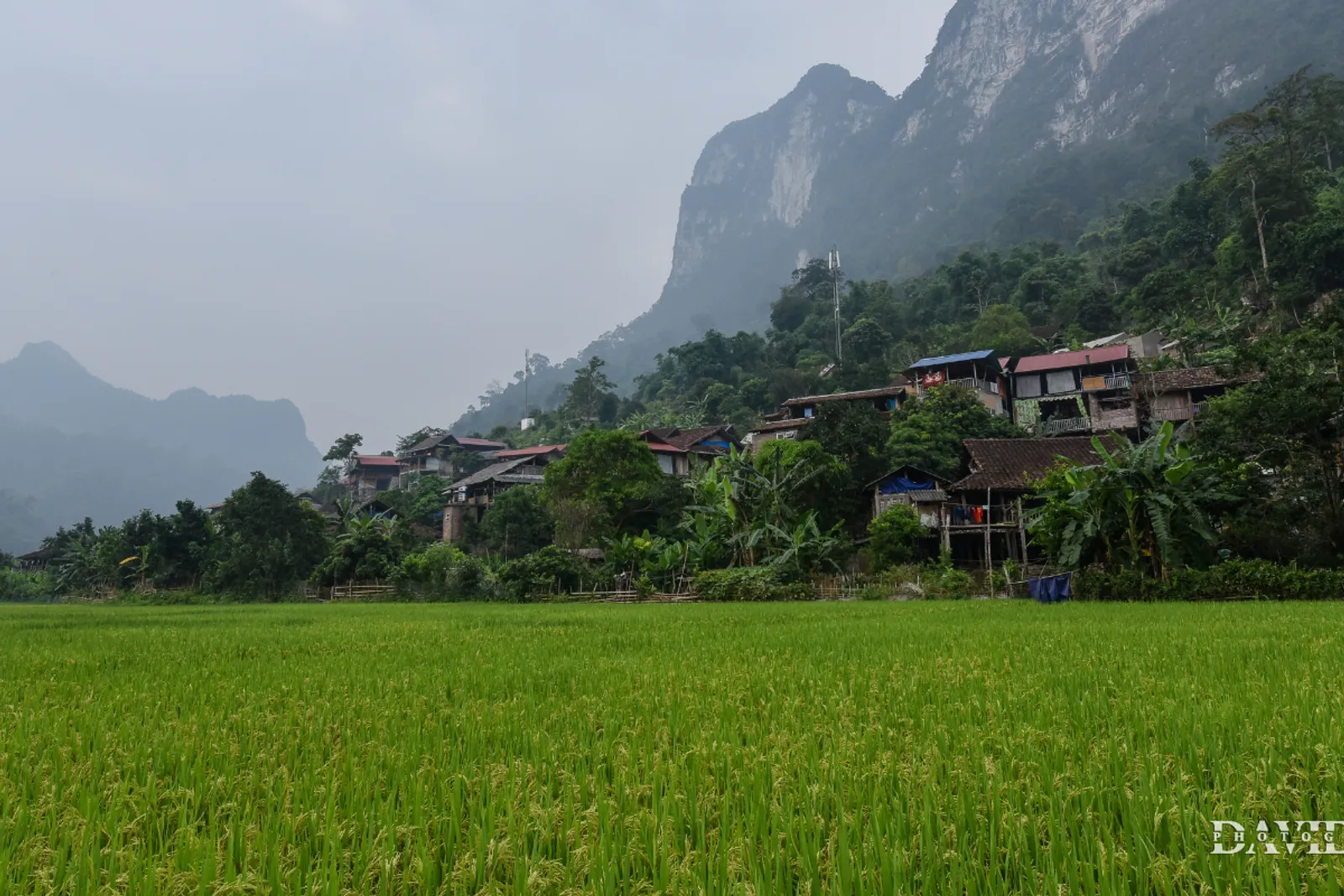 Northeast Vietnam 11-Day Private Tour: Ha Giang, Ba Be, Ban Gioc & Halong Bay – photo 16
