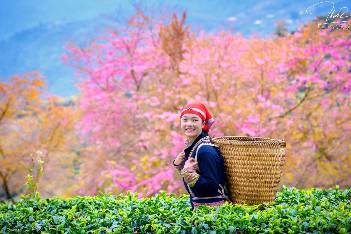 Explore Vietnam in February: The Ultimate Travel Guide – photo 8