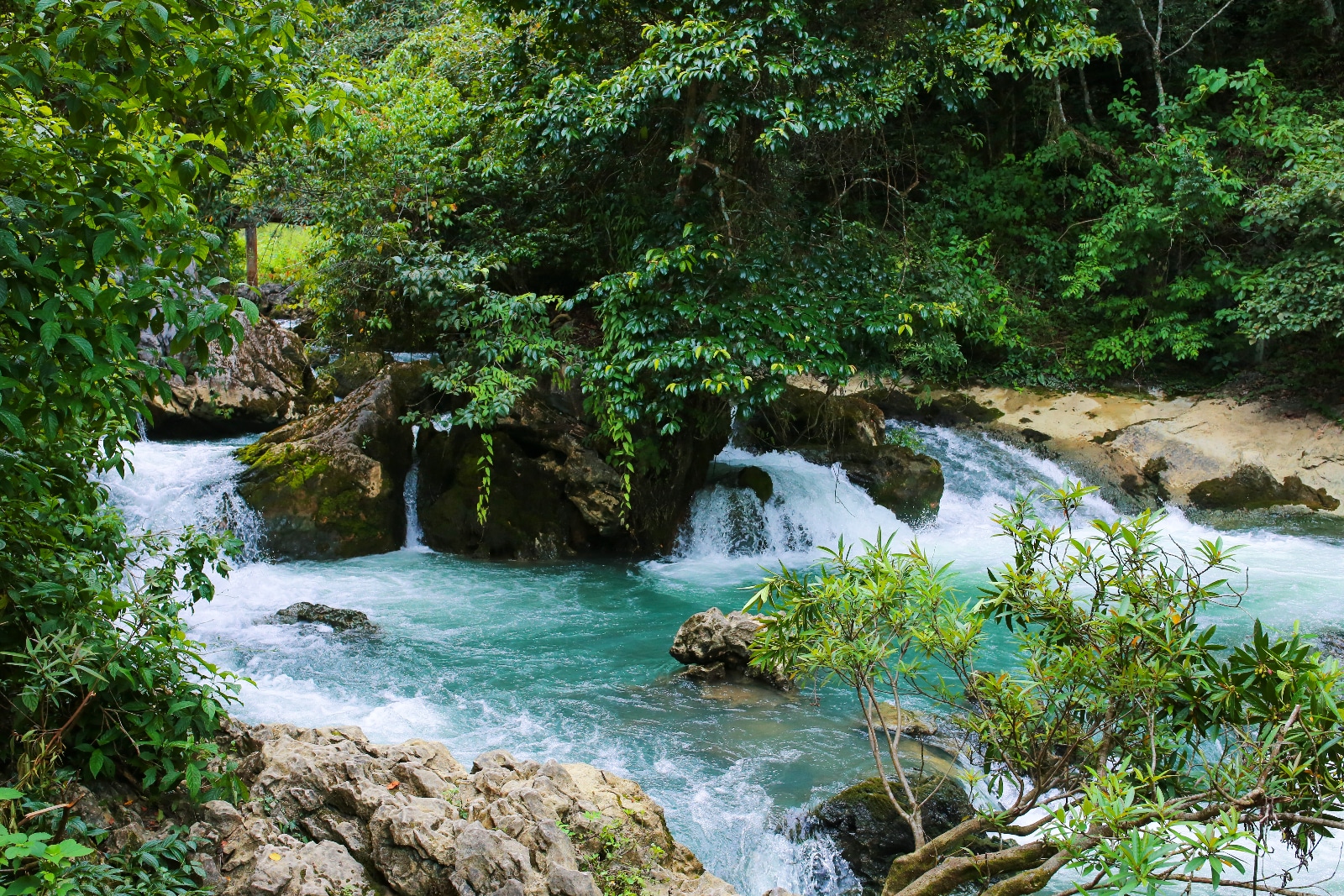 Ban Gioc Waterfall or Ban Gioc Detian Falls The Complete 2025 Tourist Guide – photo 5