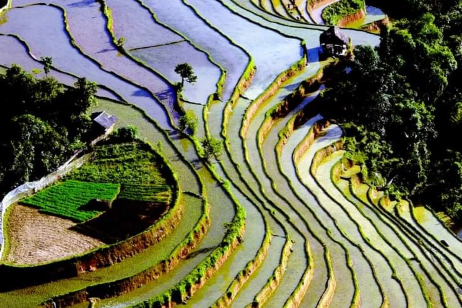 Northeast Vietnam 11-Day Private Tour: Ha Giang, Ba Be, Ban Gioc & Halong Bay – photo 27