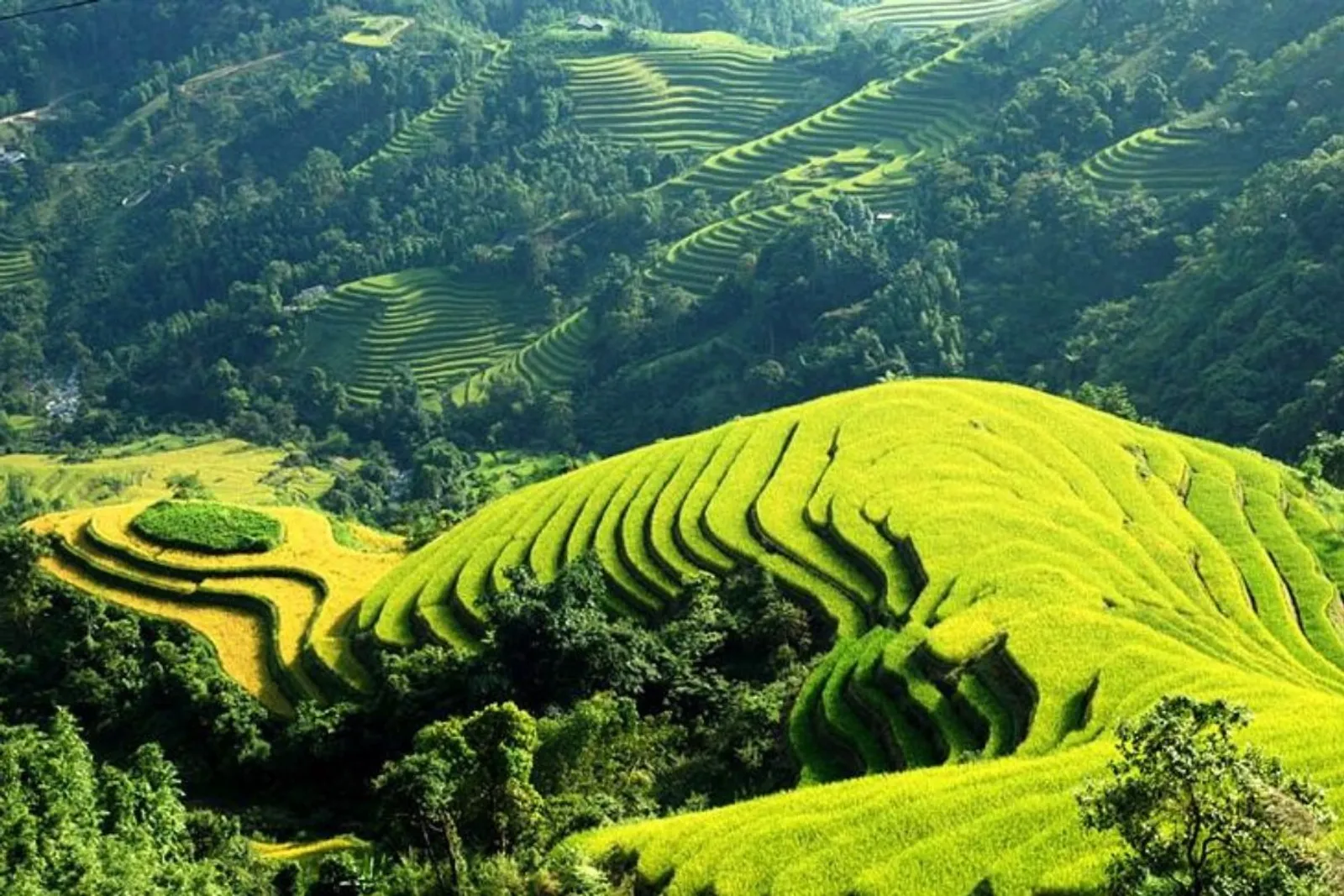 Mu Cang Chai & Sapa 7-Day Private Tour: Khau Pha Pass, Fansipan & Ta Van – photo 22