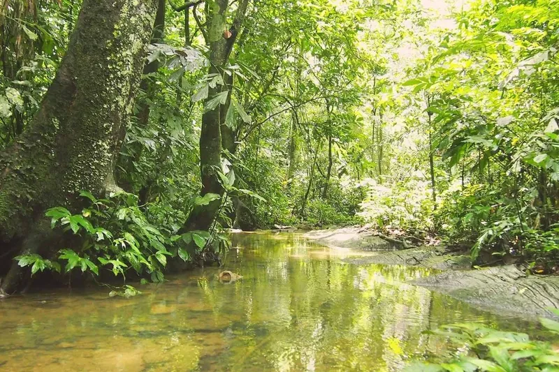 Cuc Phuong National Park Tour