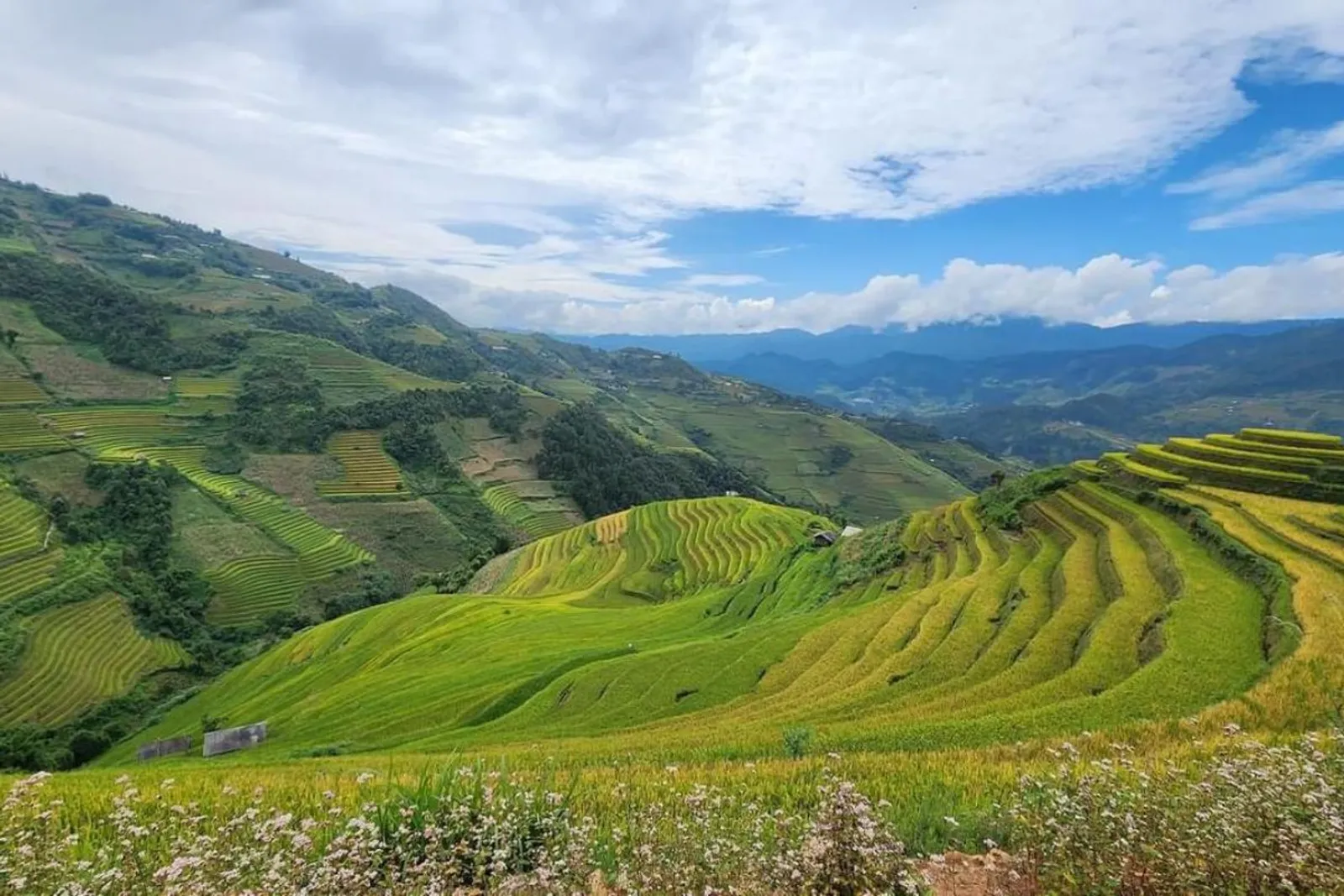 Mu Cang Chai Tour 3 Days – photo 22