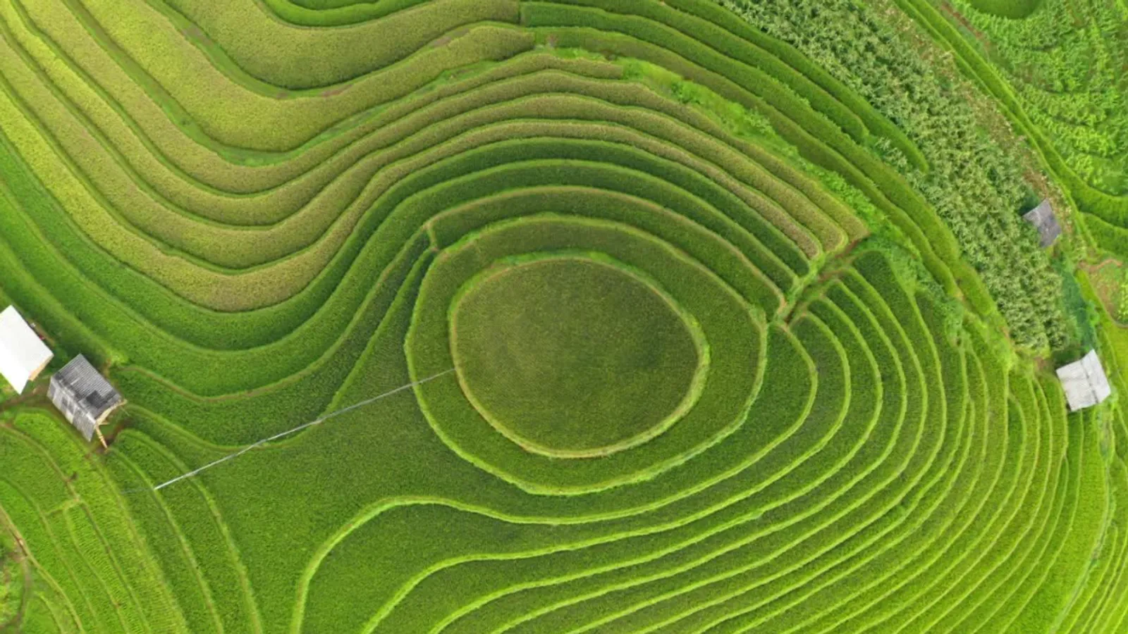 Mu Cang Chai Tour 3 Days – photo 45
