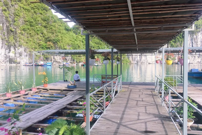 VIET HAI - BA TRAI DAO BEACH ( BREAKFAST/ BRUNCH/ DINNER )