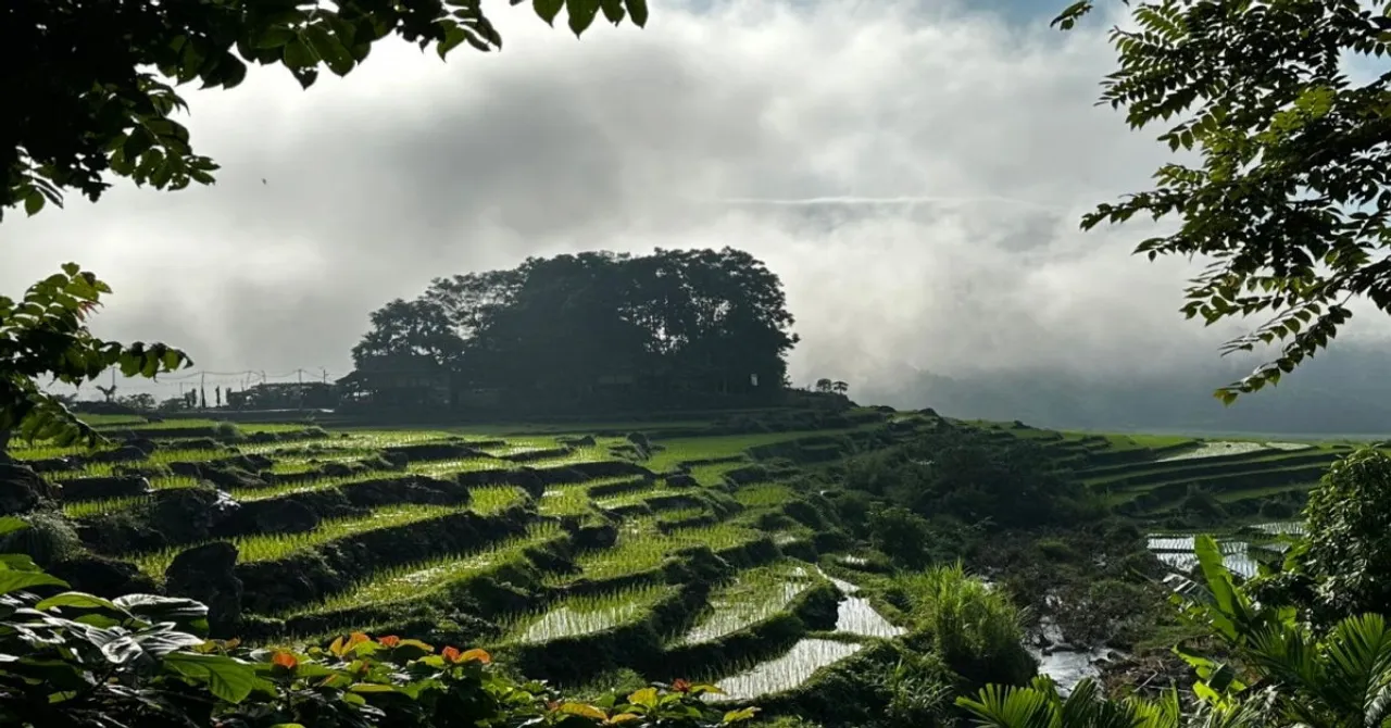8D7N Mai Chau Valley Pu Luong Retreat Ninh Binh Halong Bay Tour