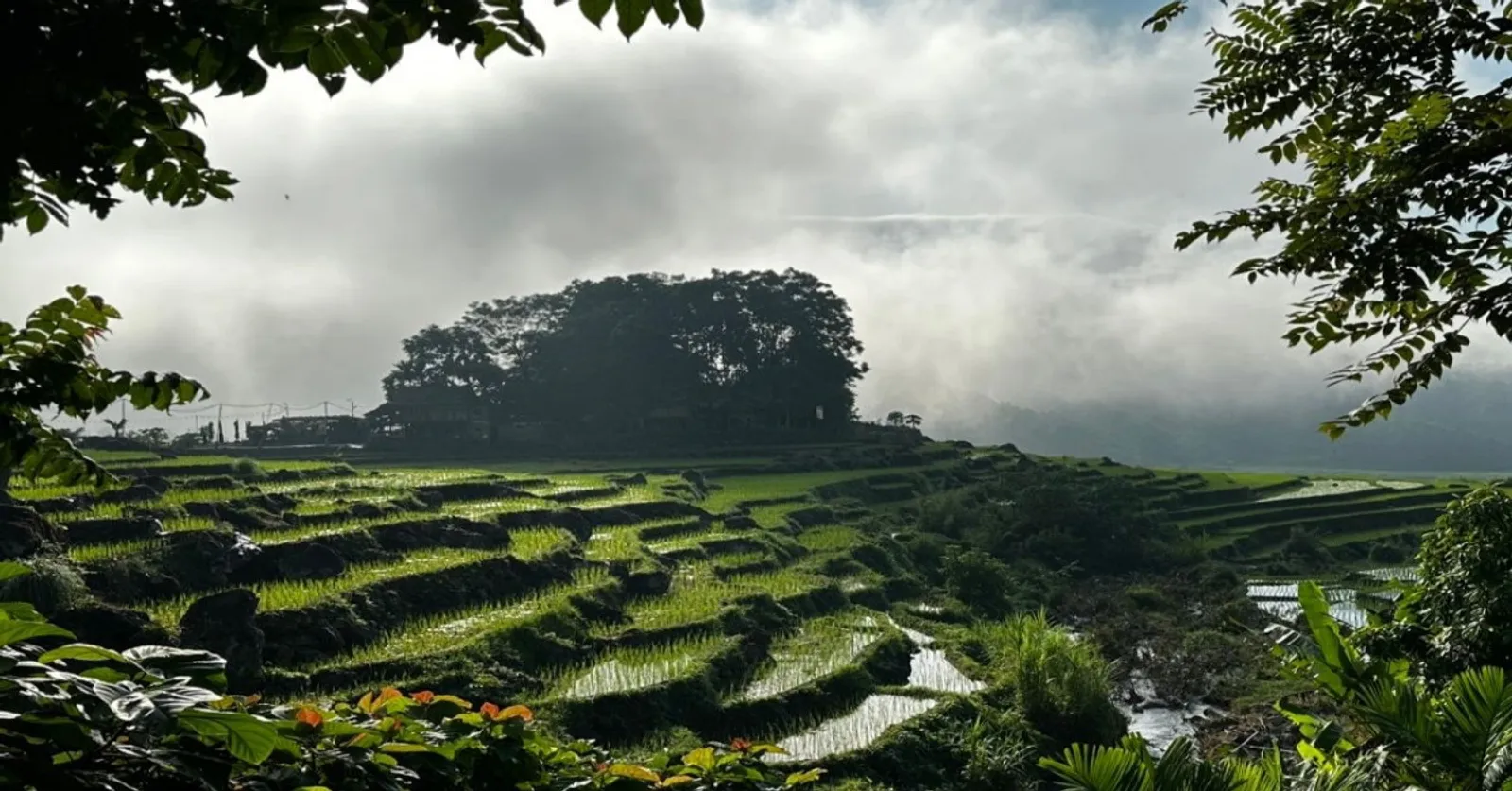8D7N Mai Chau Valley Pu Luong Retreat Ninh Binh Halong Bay Tour – photo 1
