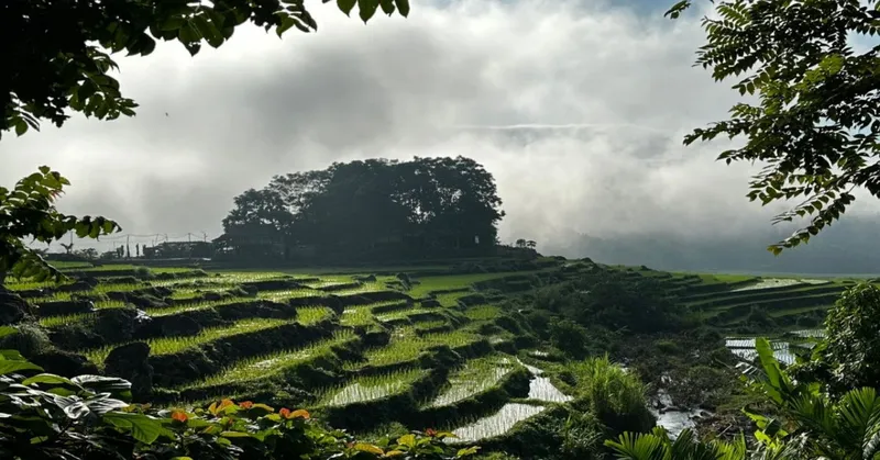 8D7N Mai Chau Valley Pu Luong Retreat Ninh Binh Halong Bay Tour