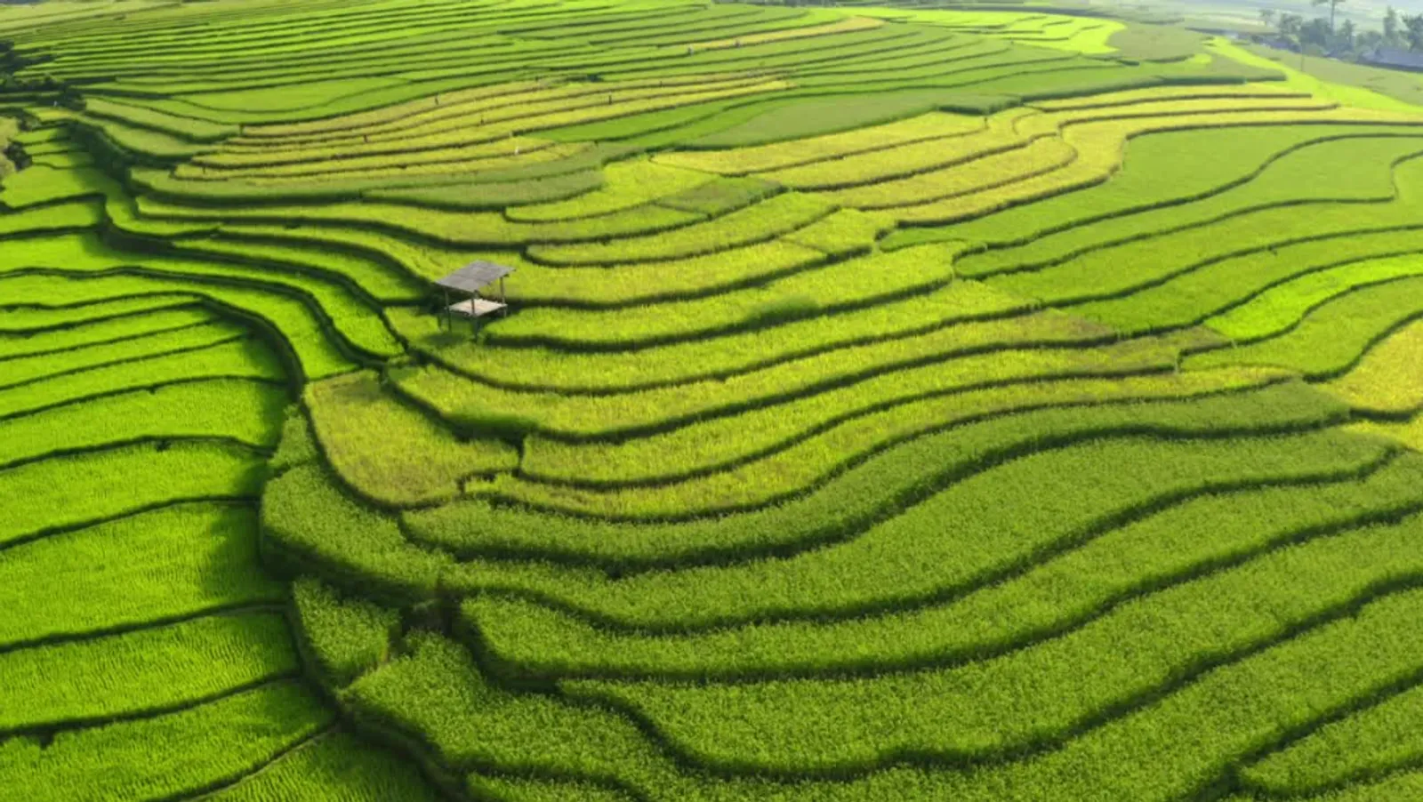 Mu Cang Chai Tour 3 Days – photo 42