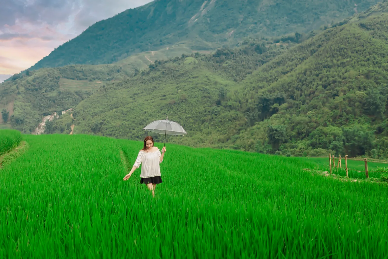 August in Sapa: A Complete Guide to Weather and Travel Tips