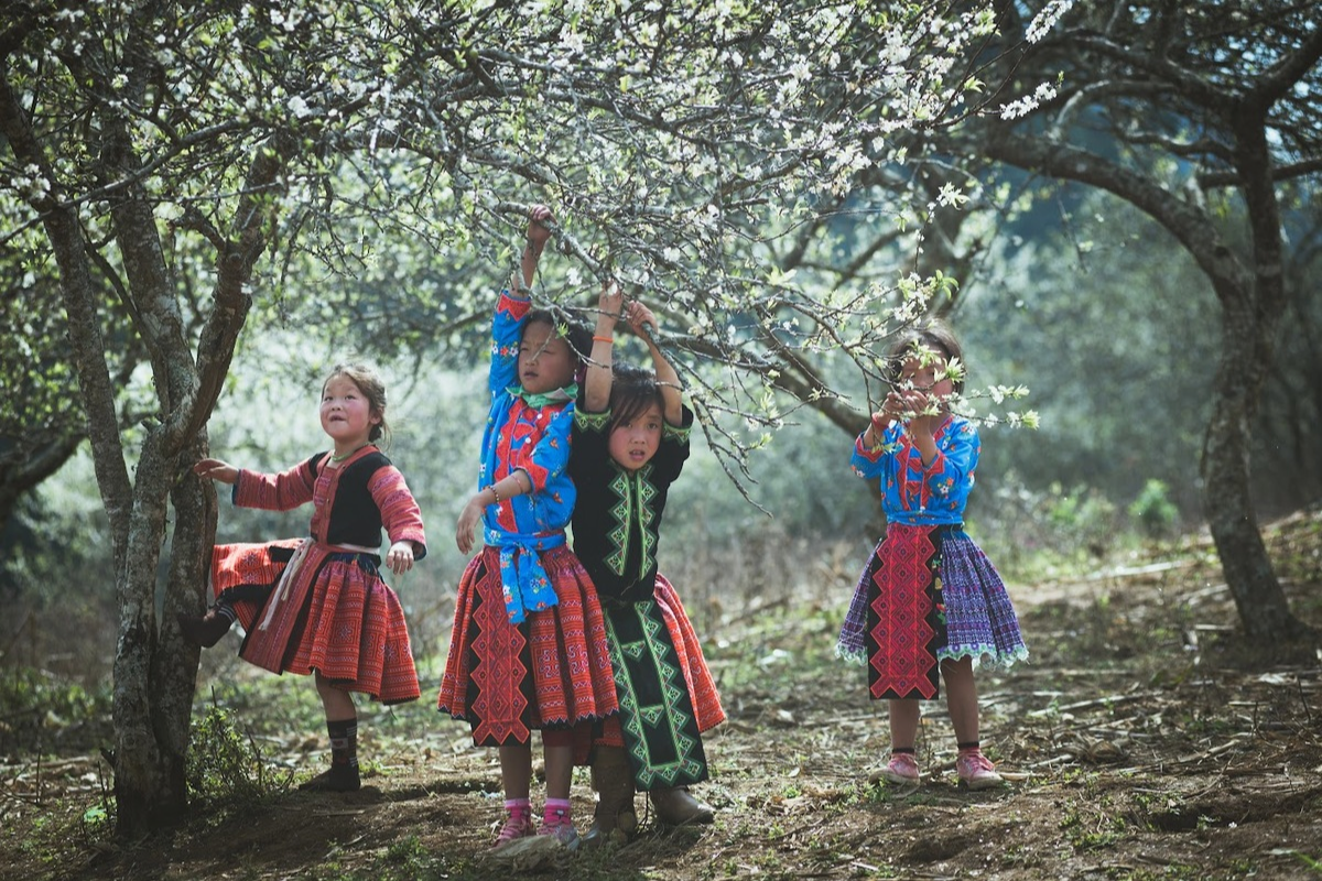 Discover Vietnam in January: Best Destinations and Travel Tips – photo 14