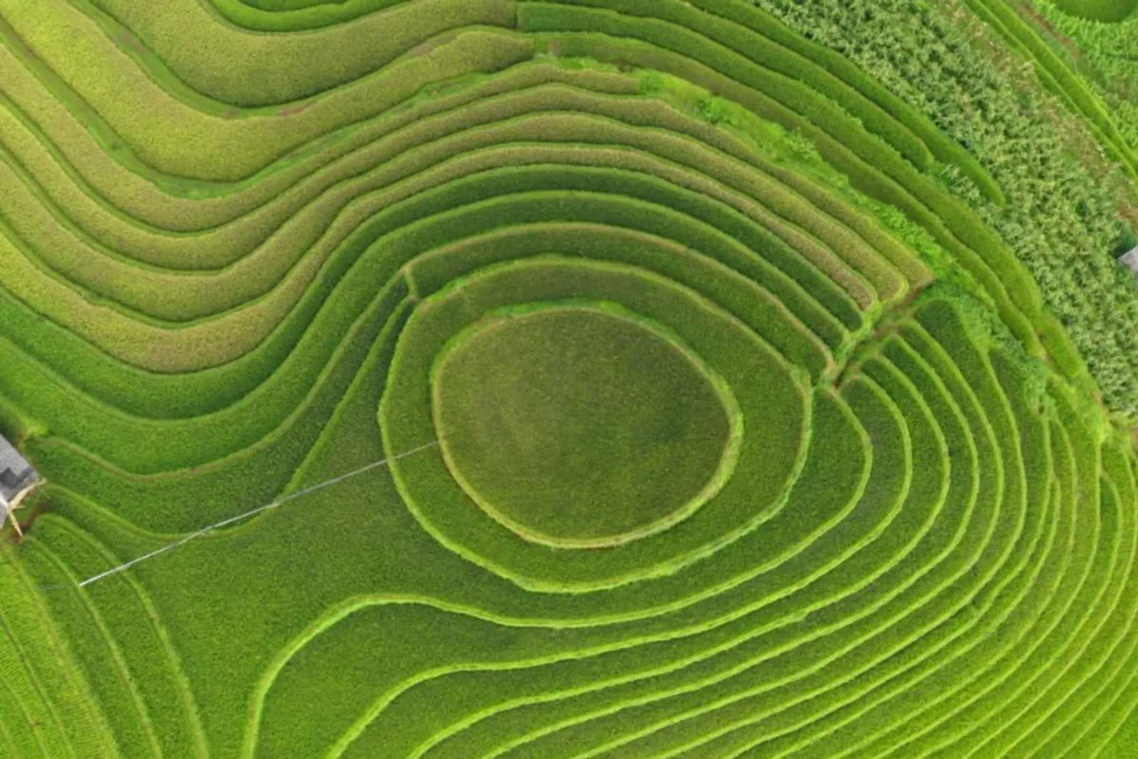 Mu Cang Chai & Sapa 7-Day Private Tour: Khau Pha Pass, Fansipan & Ta Van – photo 5
