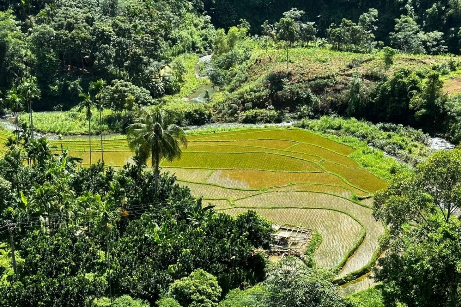 8D7N Mai Chau Valley Pu Luong Retreat Ninh Binh Halong Bay Tour – photo 7