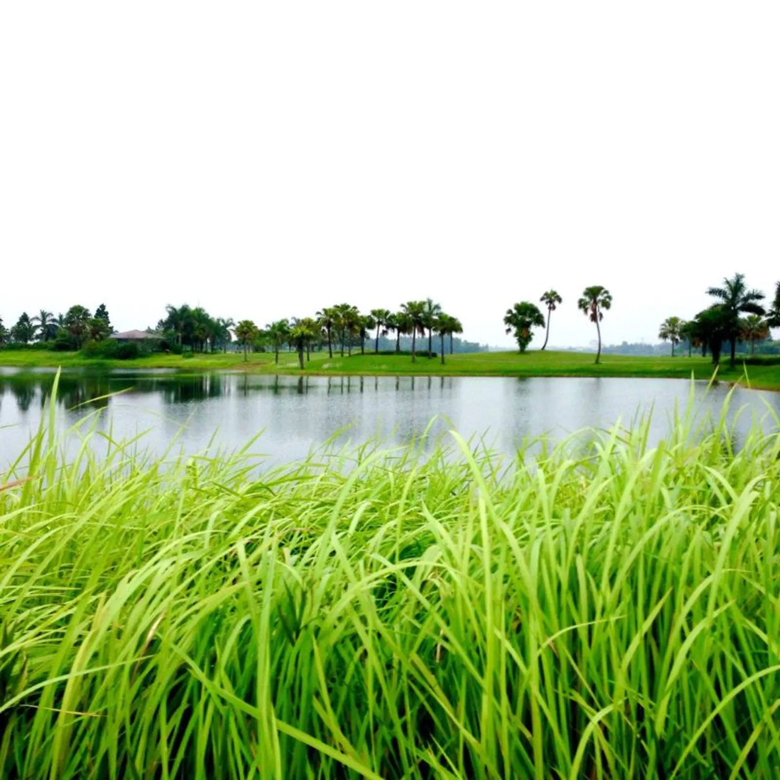 Sapa Golf Tour 5 Days: Heron Lake, Sapa Grand & Fansipan – photo 9
