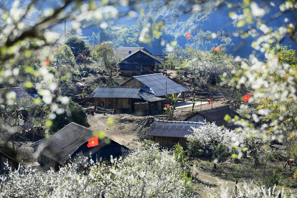 Explore Vietnam in February: The Ultimate Travel Guide – photo 3