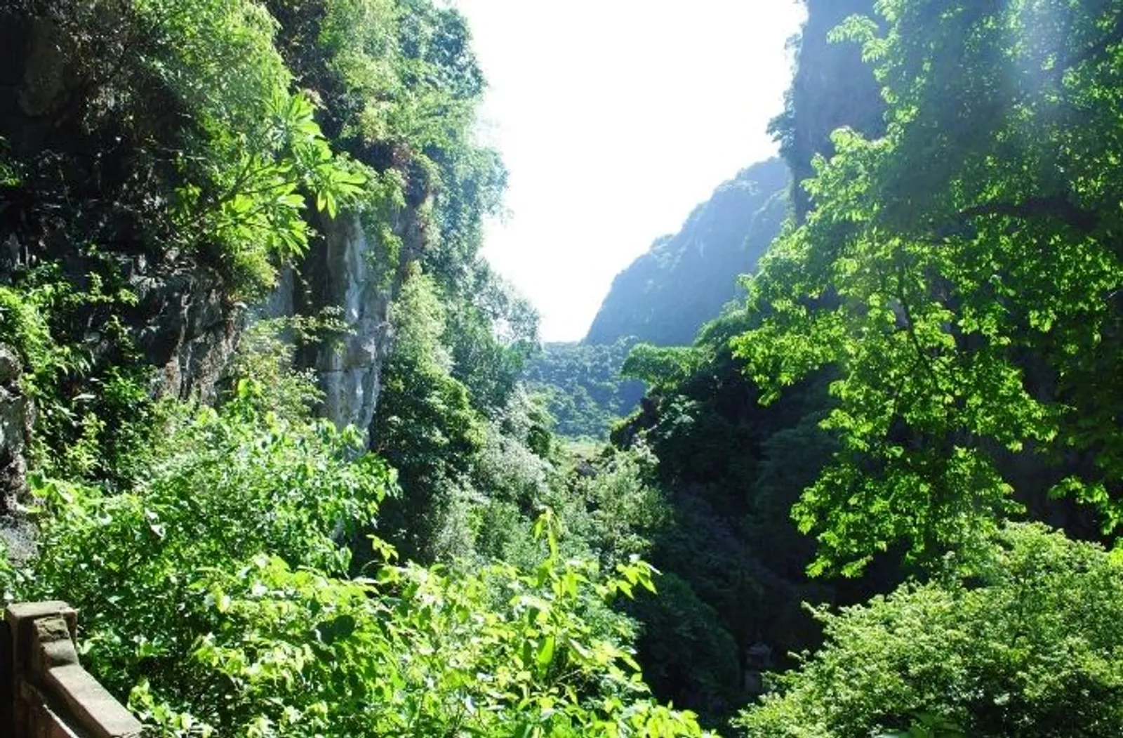 Hoa Lu, Tam Coc, Bich Dong Day Tour – photo 8