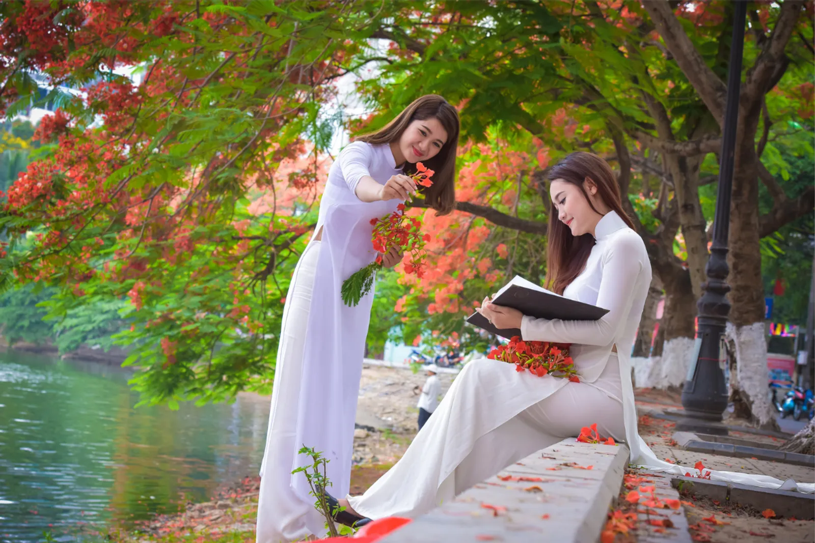 Travel to Vietnam in June : Weather, Best Places to Visit & Travel Tips