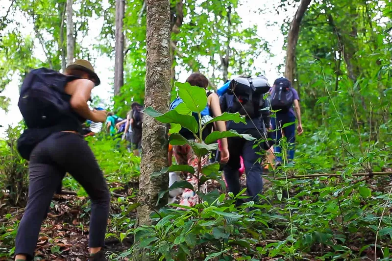 Mae Sapok Jungle Trekking Experience (B, L)