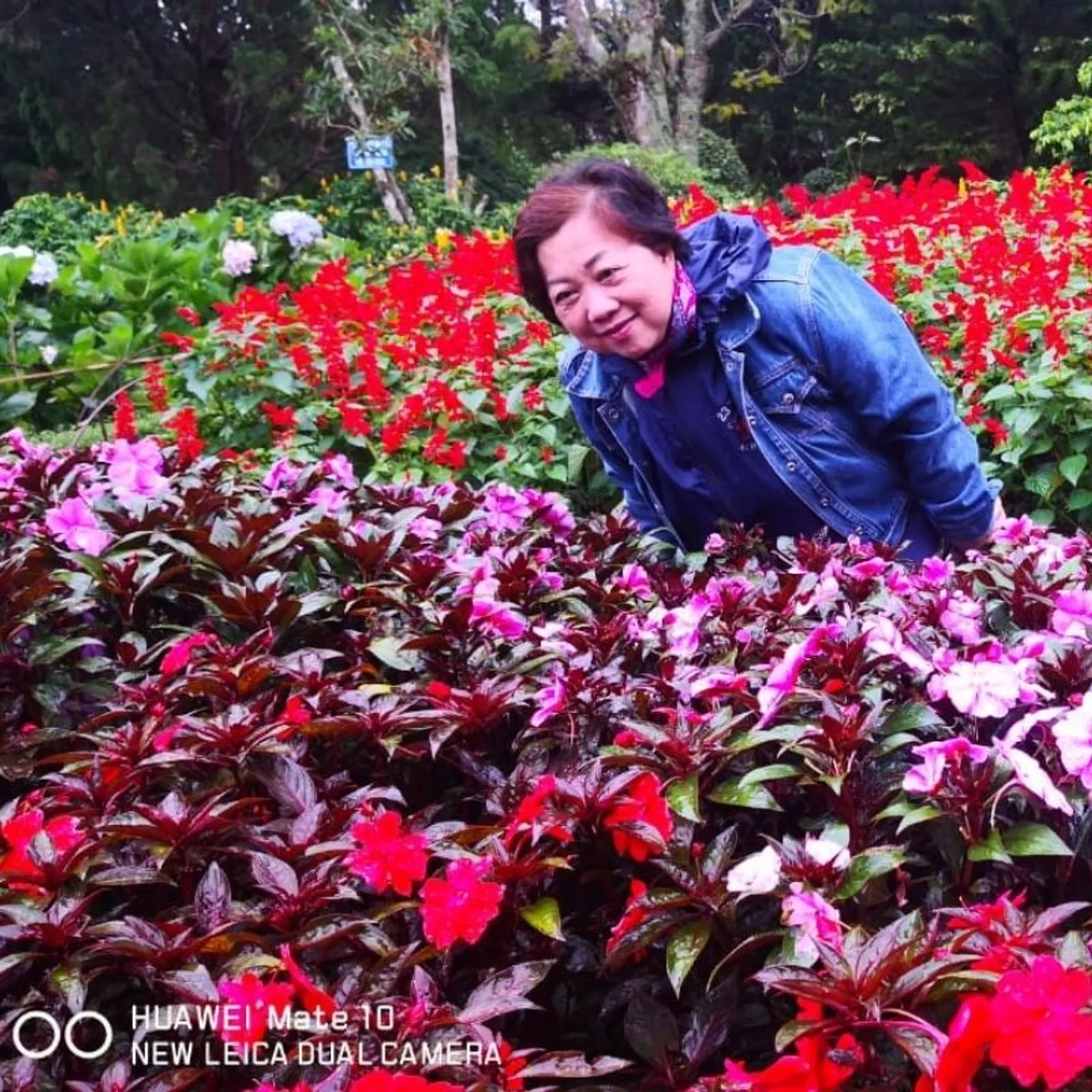 5D4N Amazing Dalat Nha Trang Tour – photo 26