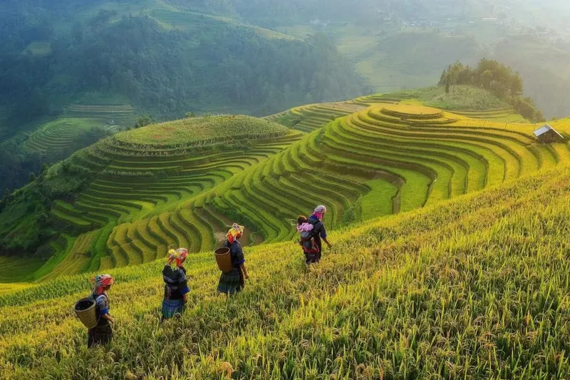 Hanoi – Free Time – Departure