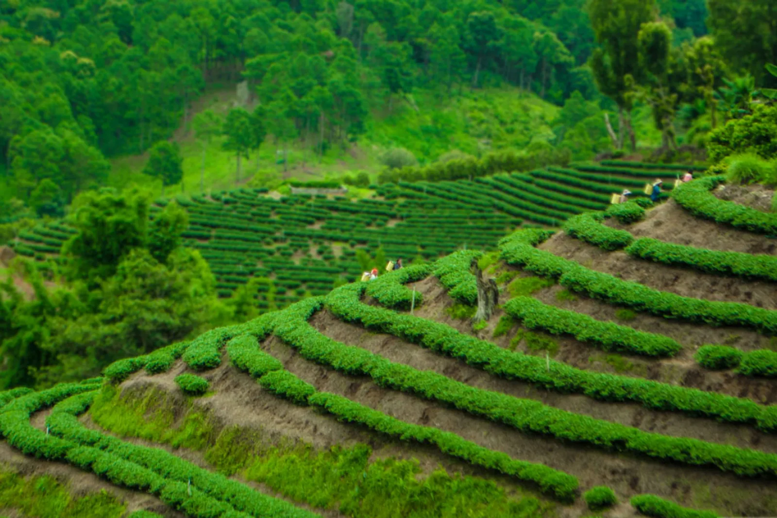 16D15N Amazing Thailand Tour – photo 20