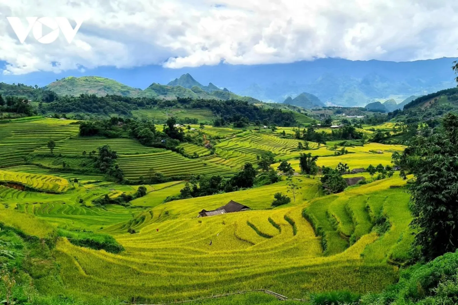 Mu Cang Chai & Sapa 7-Day Private Tour: Khau Pha Pass, Fansipan & Ta Van – photo 25