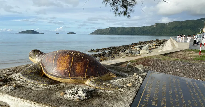 2D1N BAMBOO LAGOON – BAY CANH ISLAND – WATCH SEA TURTLE LAYING EGGS