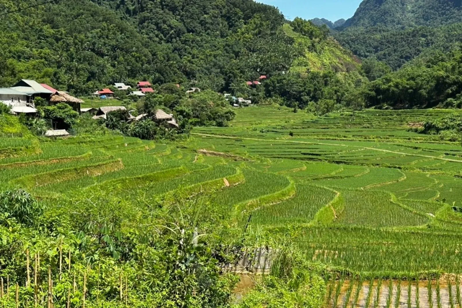 8D7N Mai Chau Valley Pu Luong Retreat Ninh Binh Halong Bay Tour – photo 8