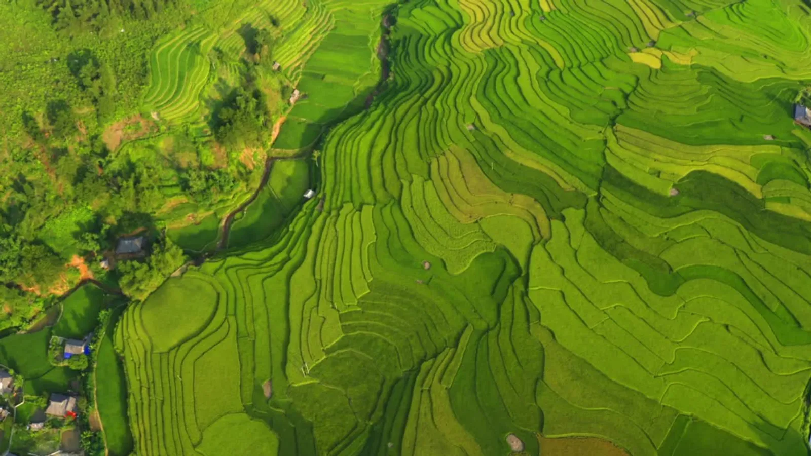 Mu Cang Chai Tour 3 Days – photo 41