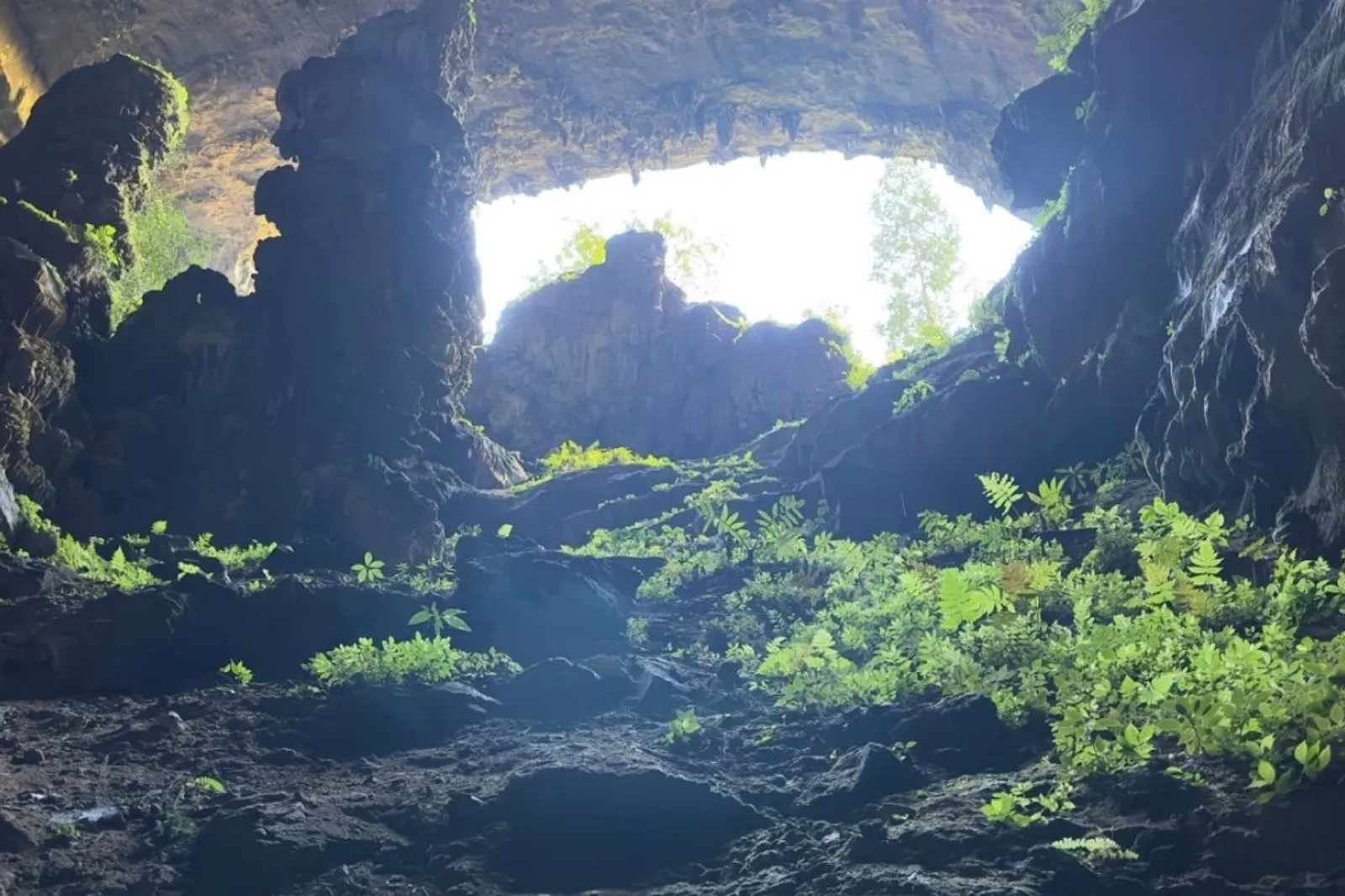 8D7N Mai Chau Valley Pu Luong Retreat Ninh Binh Halong Bay Tour – photo 11