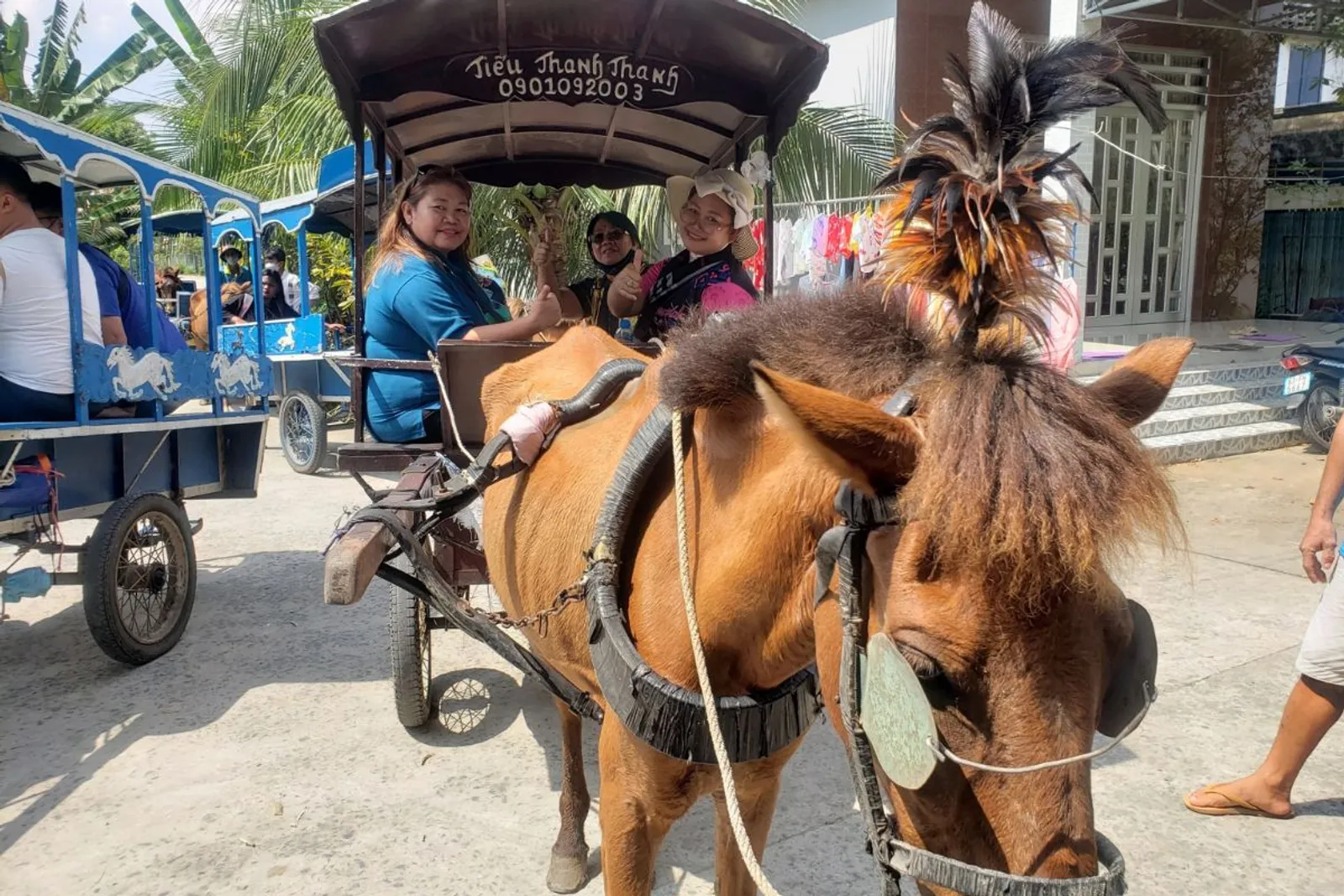 4D3N Ho Chi Minh City / Cu Chi / Tay Ninh / Black Virgin Mountain / My Tho Tour – photo 23
