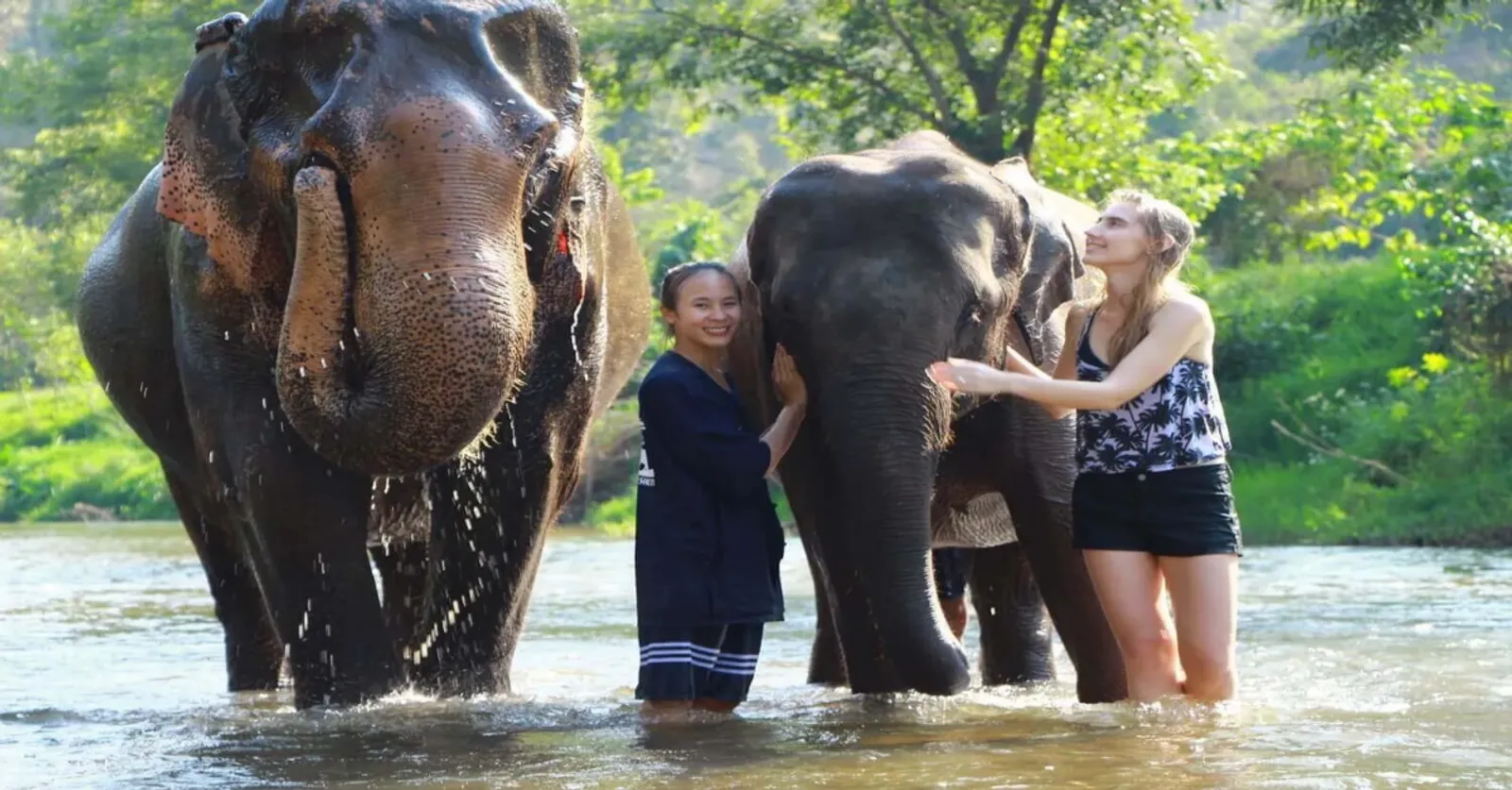 4D3N CHIANG MAI TOUR – photo 1